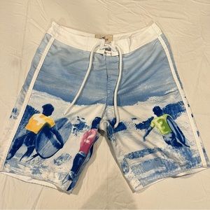 Hollister Board Shorts Mens Medium No Mesh Swim Trunks Beach Surf Scene